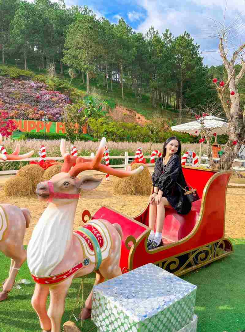 Set góc chụp mới cho du khách theo từng giai đoạn