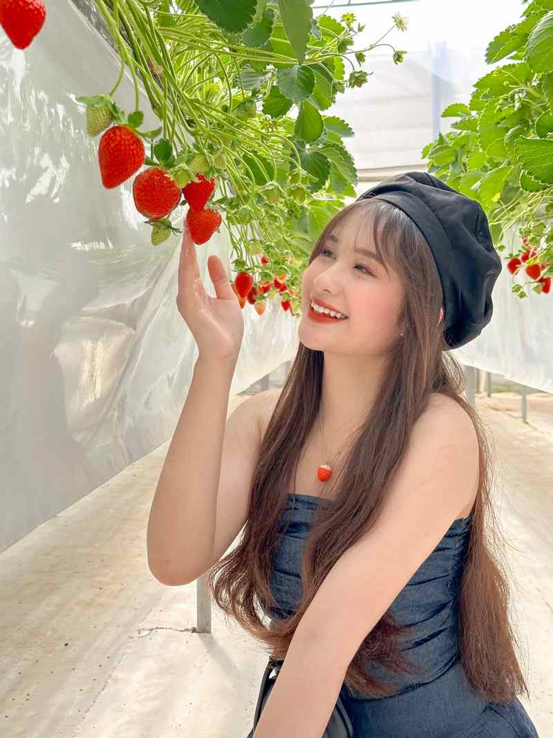 Tự tay hái những trái dâu đỏ mọng