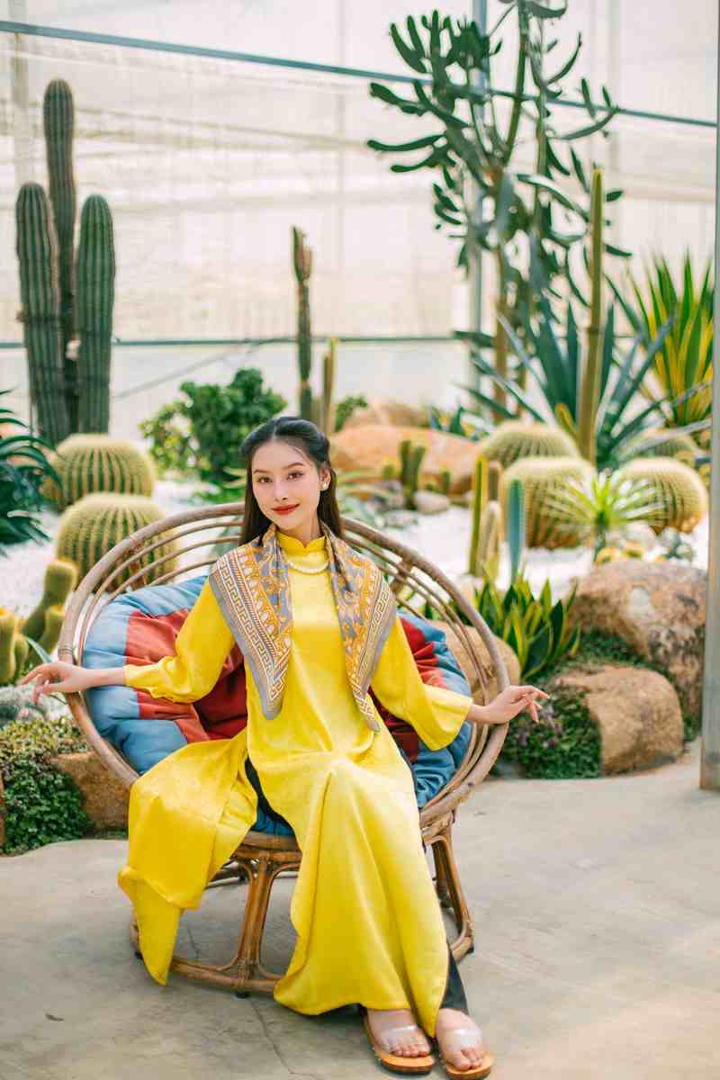 Lạc vào thế giới sương rồng
