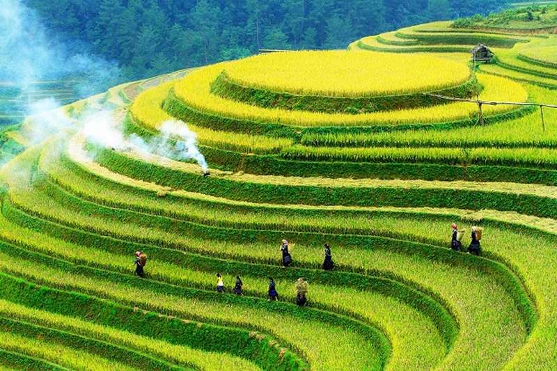 Khám phá mùa vàng non cao trong chuyến du lịch Mù Cang Chải