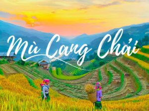 Du lịch Mù Cang Chải điểm đến hấp dẫn phaiur đi ít nhất 1 lần