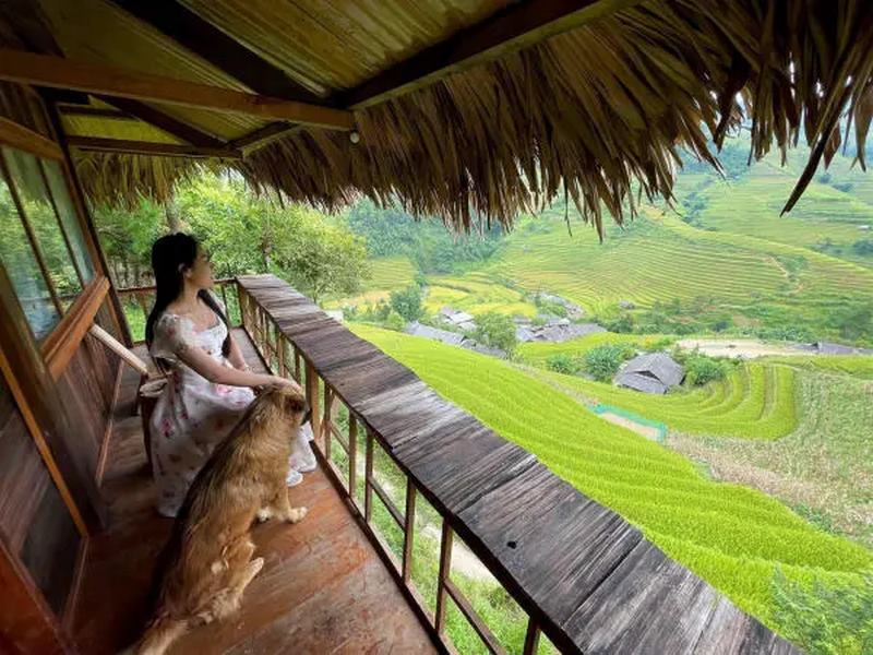Homestay Mù Cang Chải View đẹp ruộng bậc thang gần trung tâm