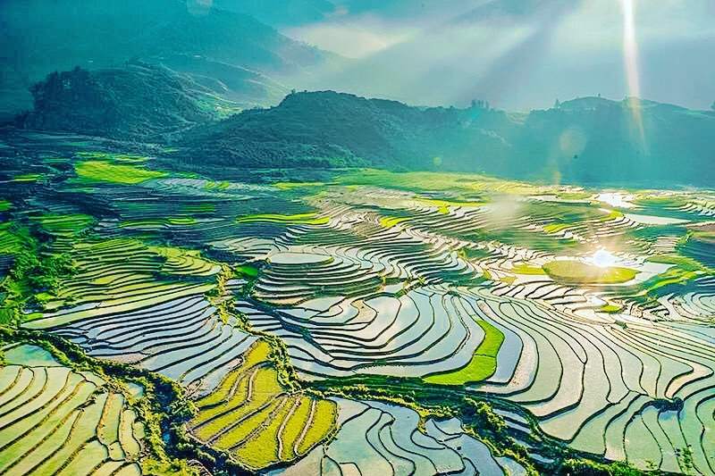 Mù Cang Chải mùa nước đổ