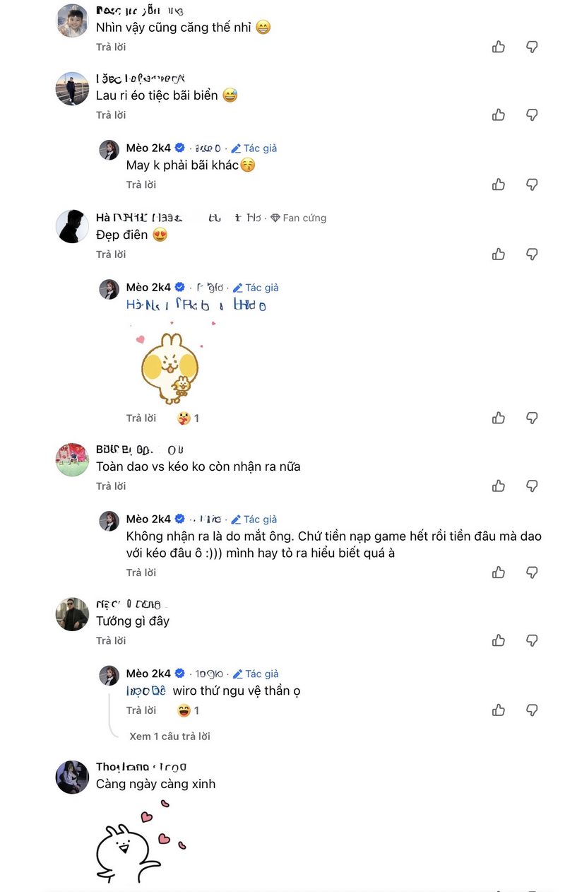 Mèo 2k4